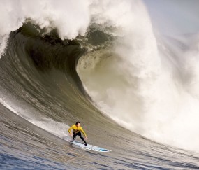 开云体育世界杯-惊天逆转！塔雷米导演神剧情，斯洛伐克掀翻四星德国